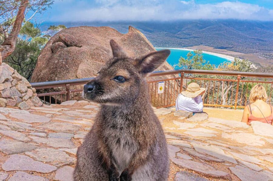 Hobart: Wineglass Bay, Freycinet Park, and Richmond Tour - Transportation, Group Size, and Price