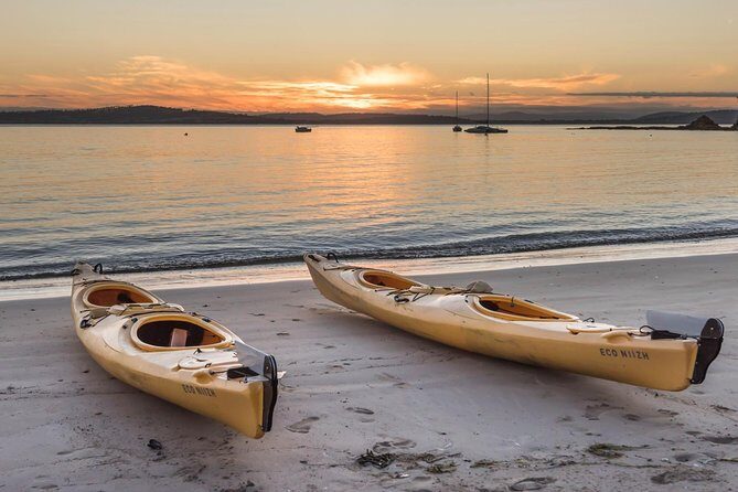 Hobart's Cliffs, Caves and Beaches Kayak Tour - What to Expect During Your Day on the Water