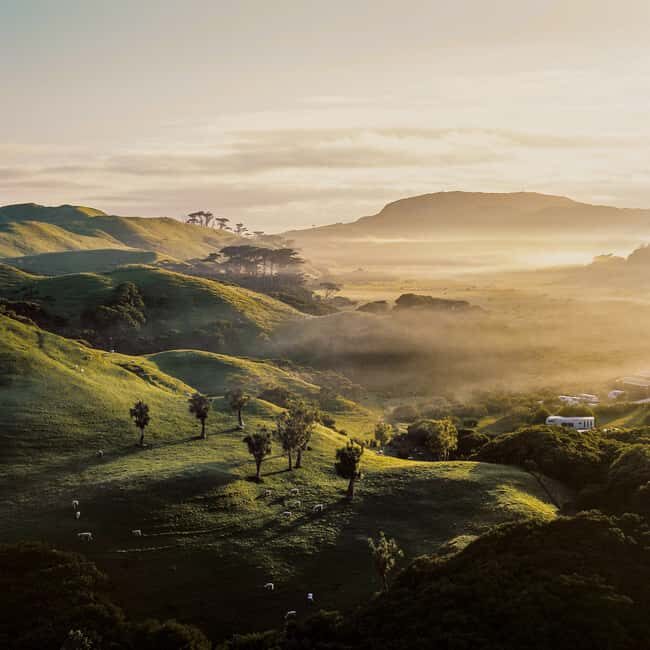 Hobbiton and Waiotapu Thermal Wonderland : PRIVATE TOUR - Practical Tips for Your Day