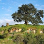 Hobbiton Day Tour from Rotorua with lunch at Hobbiton - FAQ