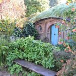 Hobbiton Movie Set day tour From Auckland - The Itinerary in Detail