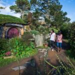 Hobbiton Movie Set & Te Puia Geothermal Valley Private Tour - The Itinerary in Detail: From Hobbiton to Geothermal Wonders