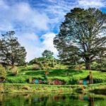 Hobbiton Movie set & Waitomo Caves Small Group Tour From Auckland - Authentic Experiences and Honest Feedback