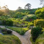 Hobbiton & Waitomo Caves Guided Day Trip from Auckland incl lunch - Why This Tour is a Great Choice for Travelers