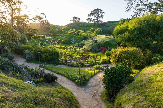 Hobbiton & Waitomo Caves Guided Day Trip from Auckland incl lunch - Why This Tour is a Great Choice for Travelers