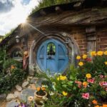 Hobbiton & Waitomo Caves Small Group Tour from Auckland inc Lunch - Pricing and Value
