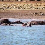 Hoedspruit: Blyde River Canyon Dam Boat Cruise - Who Should Consider This Tour?