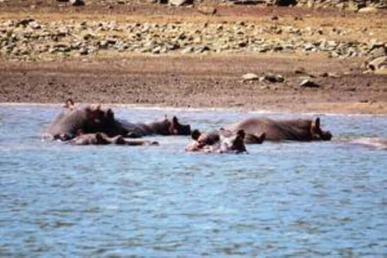 Hoedspruit: Blyde River Canyon Dam Boat Cruise - Who Should Consider This Tour?