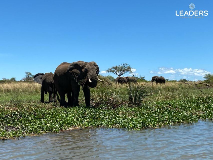 Hoedspruit: Private Kruger National Park Full-Day Safari - The Experience in Detail