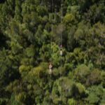 Hokitika: West Coast Tree Top Tower Zip Line and Walk - The Treetop Walkway: Elevated Views with a Purpose