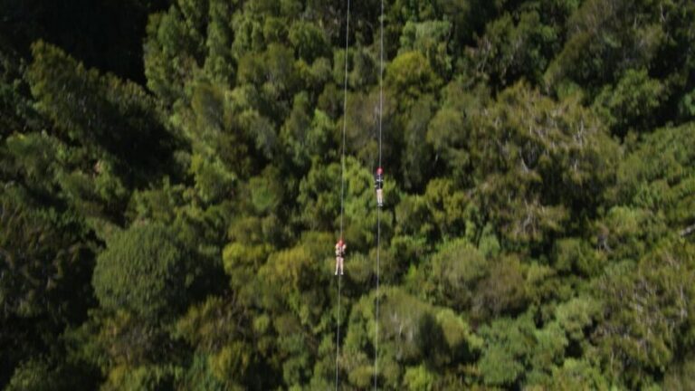 Hokitika: West Coast Tree Top Tower Zip Line and Walk - The Treetop Walkway: Elevated Views with a Purpose