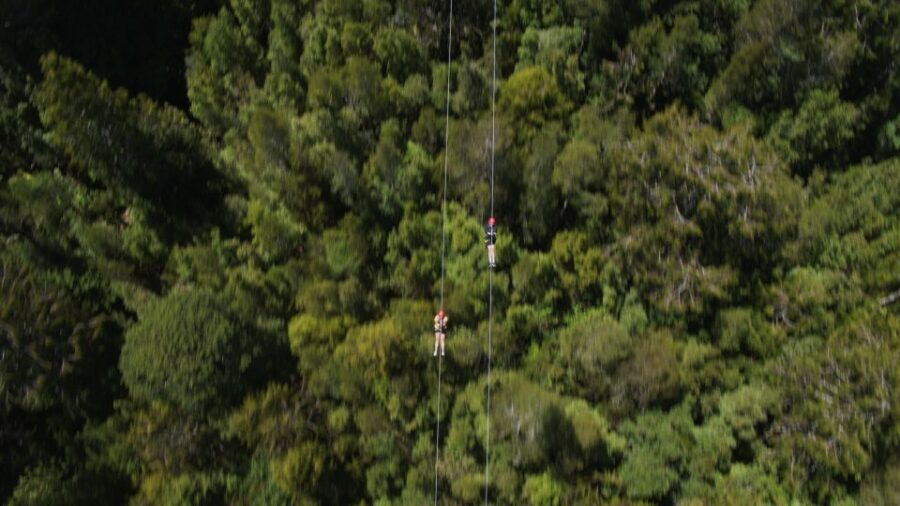 Hokitika: West Coast Tree Top Tower Zip Line and Walk - The Treetop Walkway: Elevated Views with a Purpose
