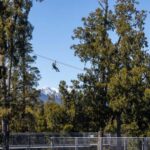 Hokitika: West Coast Treetop Walkway Entrance Ticket - The Walkway Experience