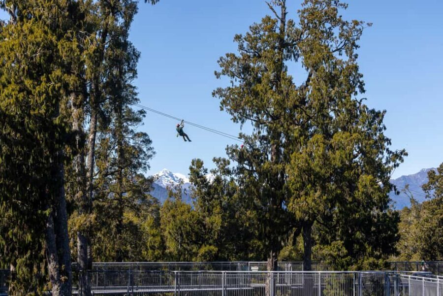 Hokitika: West Coast Treetop Walkway Entrance Ticket - The Walkway Experience