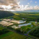 Hook A Barra Fishing Experience - An Introduction to the Experience