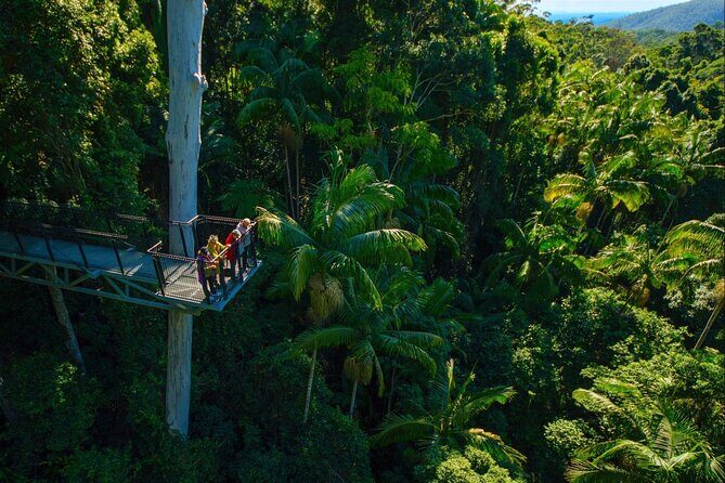 Hop on Hop off - Tamborine Rainforest Skywalk + Glow Worm Caves - What to Expect from the Itinerary: In-Depth Breakdown