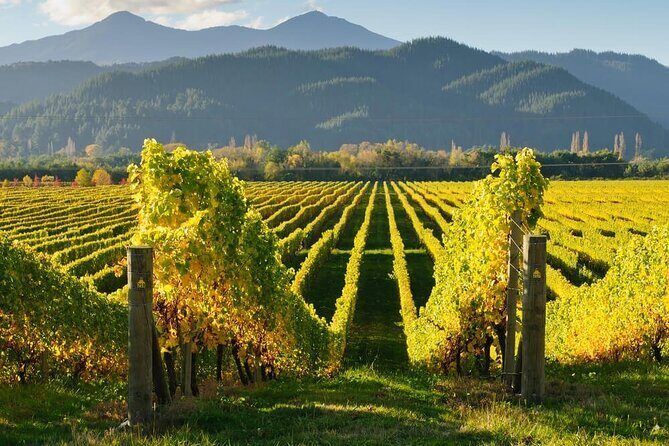 Hop on Hop off Wine Tours Marlborough - The Sum Up