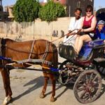 Horse-Drawn Carriage City Tour from West Bank - What to Expect from the Luxor Horse-Drawn Carriage Tour
