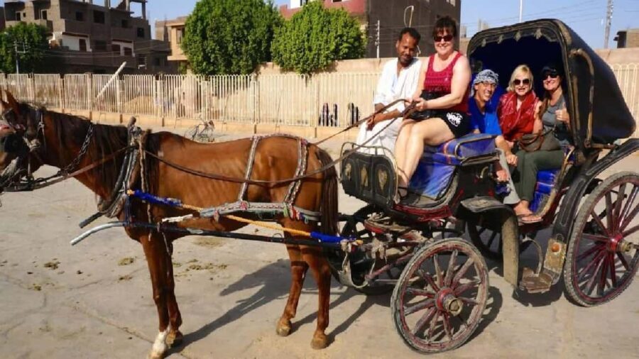 Horse-Drawn Carriage City Tour from West Bank - What to Expect from the Luxor Horse-Drawn Carriage Tour