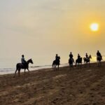 Horse riding in muscat beach - Authentic Guided Experience With Attention to Detail