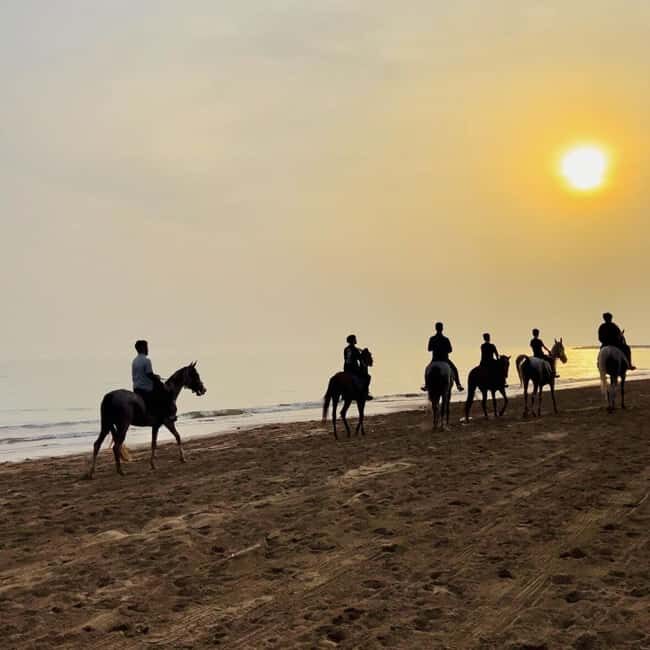 Horse riding in muscat beach - Authentic Guided Experience With Attention to Detail