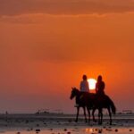 Horse Riding Muscat | Beach Horse Riding - Why This Tour Offers Great Value