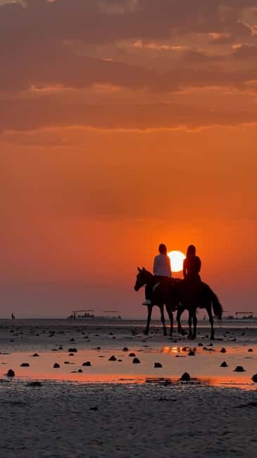 Horse Riding Muscat | Beach Horse Riding - Why This Tour Offers Great Value