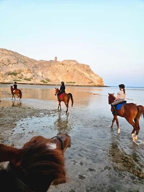 Horse Riding Oman - 2 hour ride - FAQ