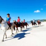 Horse Riding, Wine Tasting & Art Trail Private Tour - A Well-Structured Escape from Auckland