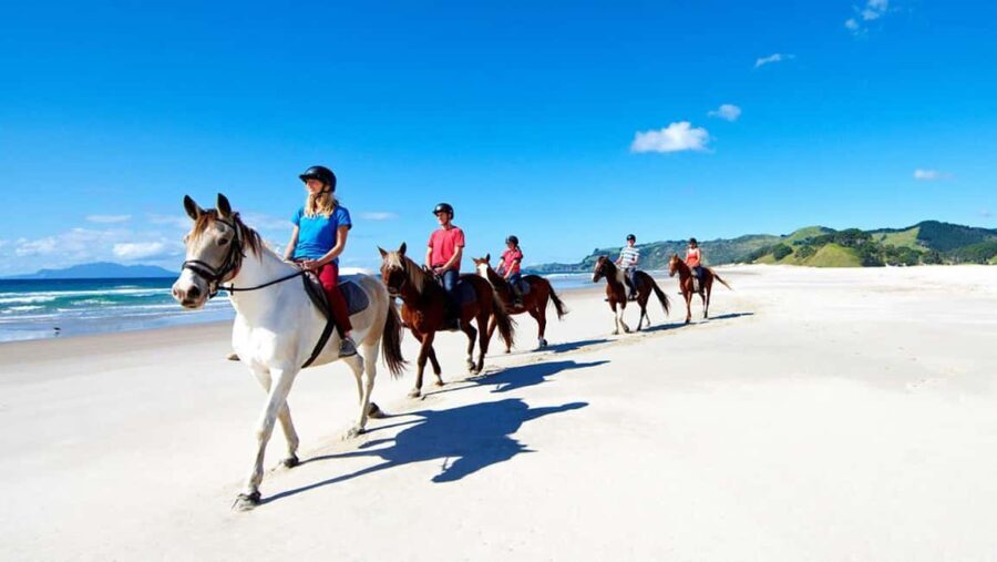 Horse Riding, Wine Tasting & Art Trail Private Tour - A Well-Structured Escape from Auckland