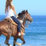 Horseback riding in Boavista for beginners - The Authentic Experience vs. Expectations