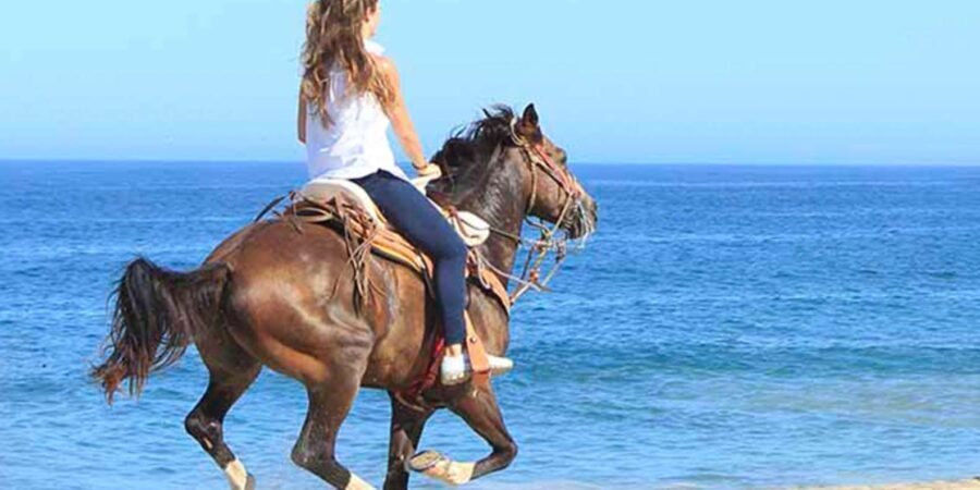 Horseback riding in Boavista for beginners - The Authentic Experience vs. Expectations