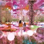 House of Hype Beautiful Immersive Wonderland - DUBAI MALL - The Journey Through the Immersive Worlds
