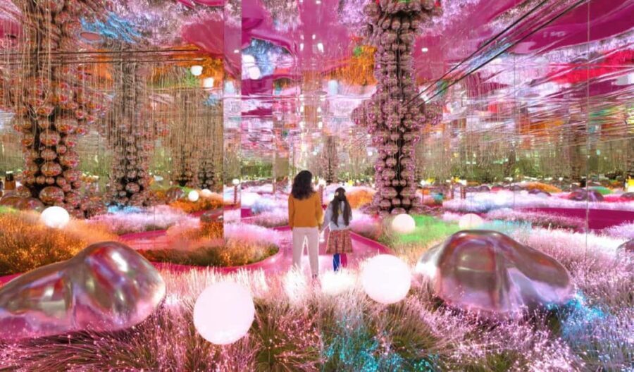 House of Hype Beautiful Immersive Wonderland - DUBAI MALL - The Journey Through the Immersive Worlds