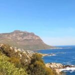 Hout Bay: Seal Island Boat Trip with World of birds visit - Is This Tour Worth It?