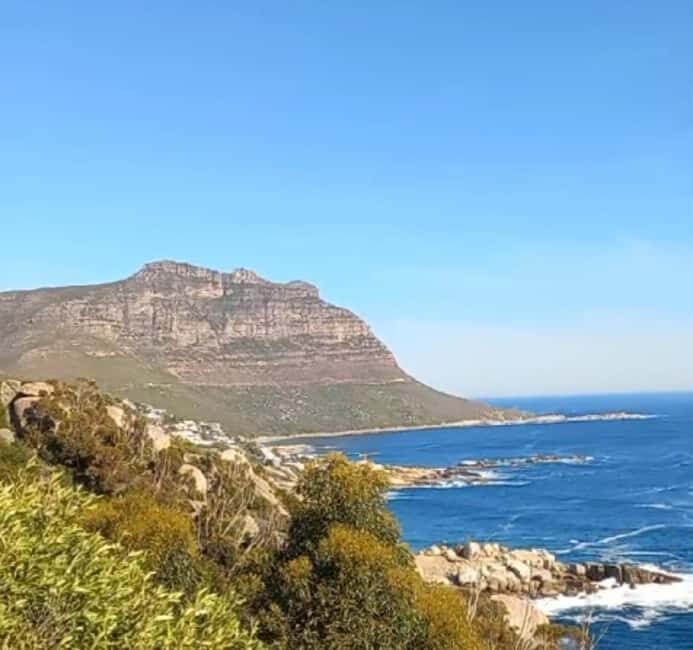 Hout Bay: Seal Island Boat Trip with World of birds visit - Is This Tour Worth It?
