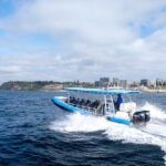 Humpback Whale Encounter Tour from Newcastle - Who is This Tour Best For?