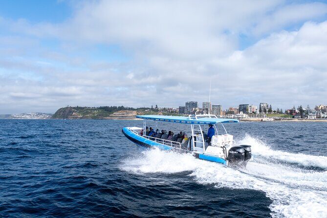Humpback Whale Encounter Tour from Newcastle - Who is This Tour Best For?
