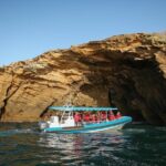 Hunter Coastal Adventure Tour by Boat from Newcastle - A Closer Look at the Hunter Coastal Adventure Tour