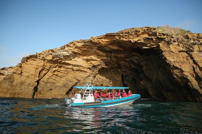 Hunter Coastal Adventure Tour by Boat from Newcastle - A Closer Look at the Hunter Coastal Adventure Tour