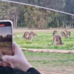 Hunter Valley: Private Wine, Cheese, and Chocolate Tour - Why the Price Reflects Good Value