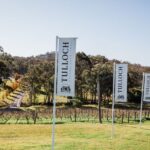 Hunter Valley: Tulloch Wine Tasting and Chocolate Pairings - Who is this experience best suited for?