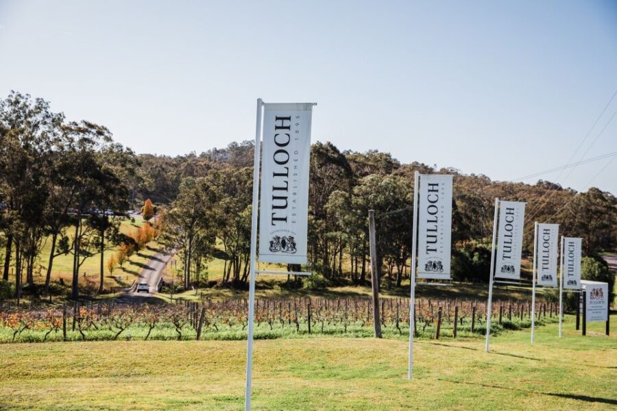 Hunter Valley: Tulloch Wine Tasting and Chocolate Pairings - Who is this experience best suited for?