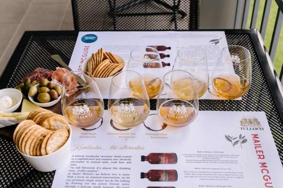 Hunter Valley: Tulloch Wines Mystery Wine & Cheese Tasting - The Kid-Friendly and Teen Options