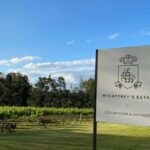 Hunter Valley: Wine and Cheese Tasting Experience - The Itinerary: A Detailed Breakdown