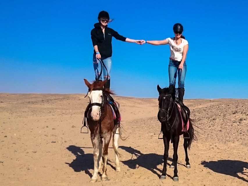 Hurghada: Arabian Desert and Sea Horseback Adventure - Practical Details and Tips
