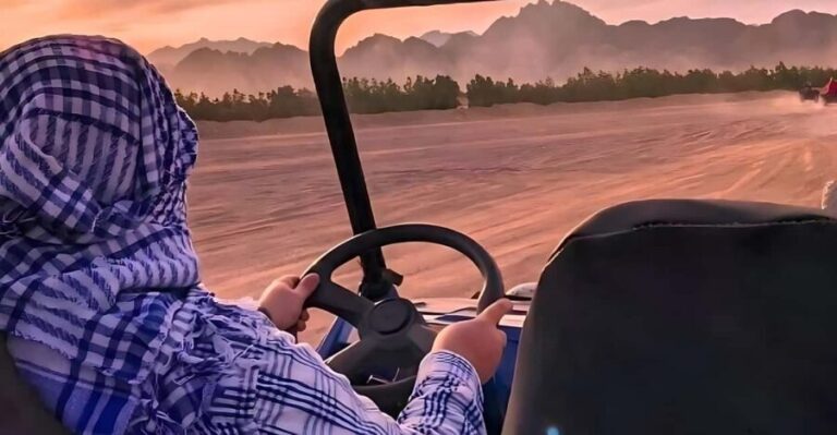 Hurghada: ATV Quad, Jeep and Buggy Safari with BBQ Dinner - What Makes This Tour Stand Out?