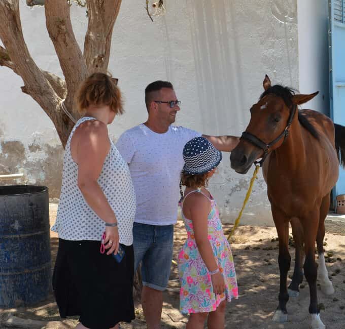 Hurghada: BADU Camp Camel Ride, Dinner, & Stargazing - Authentic Bedouin Culture in a Nutshell