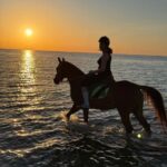 Hurghada: Desert and Beach Horse Riding Adventure - FAQ