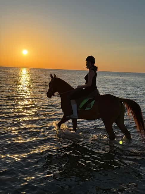 Hurghada: Desert and Beach Horse Riding Adventure - FAQ